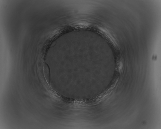 X0000096651297200802051145