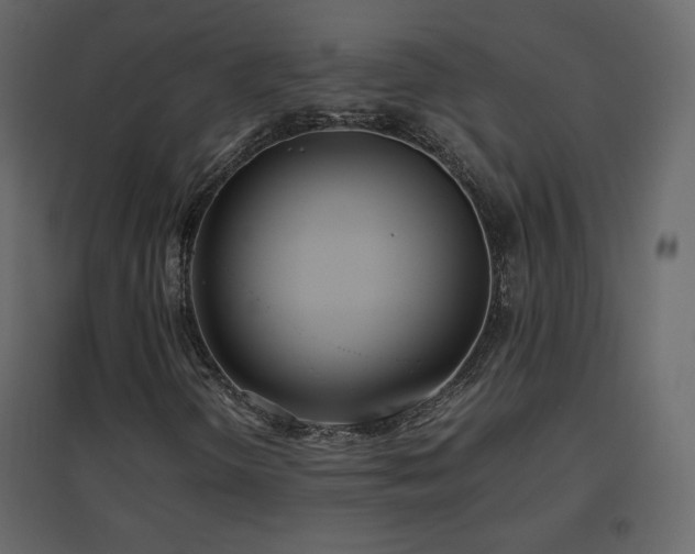 X0000096651298200802051145
