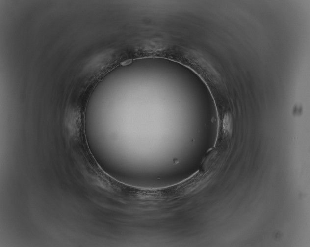 X0000096651299200802051145