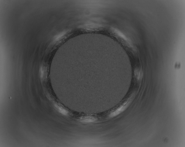 X0000096651300200802051145
