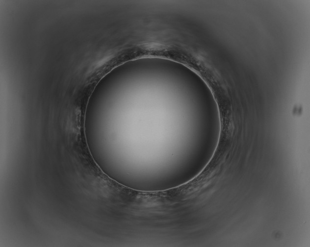 X0000096651301200802051145