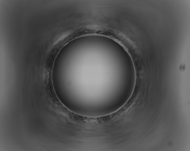 X0000096651302200802051145