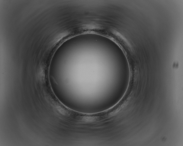 X0000096651305200802051145