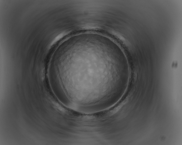 X0000096651306200802051145
