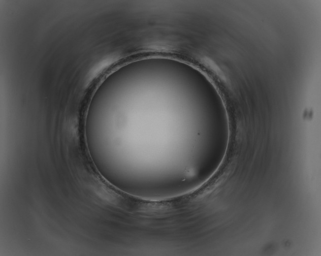 X0000096651307200802051145