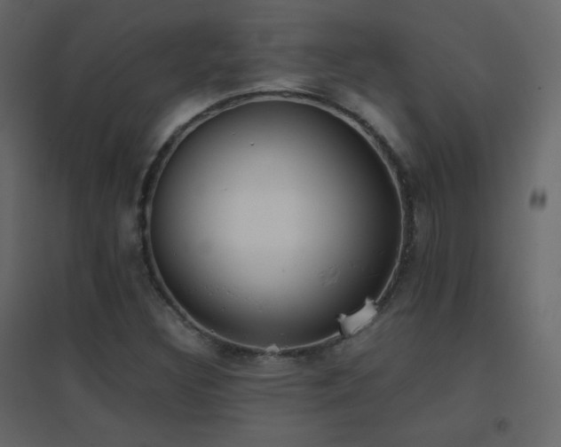 X0000096651308200802051145