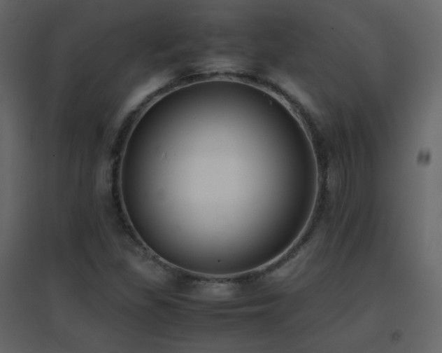 X0000096651309200802051145