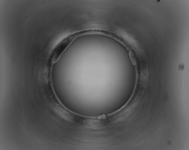 X0000096651310200802051145