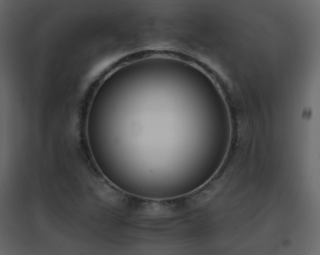 X0000096651311200802051145