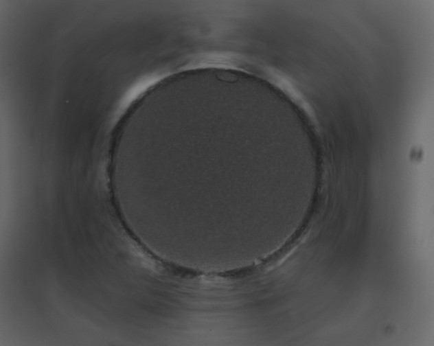 X0000096651312200802051145