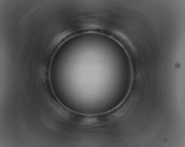 X0000096651313200802051145