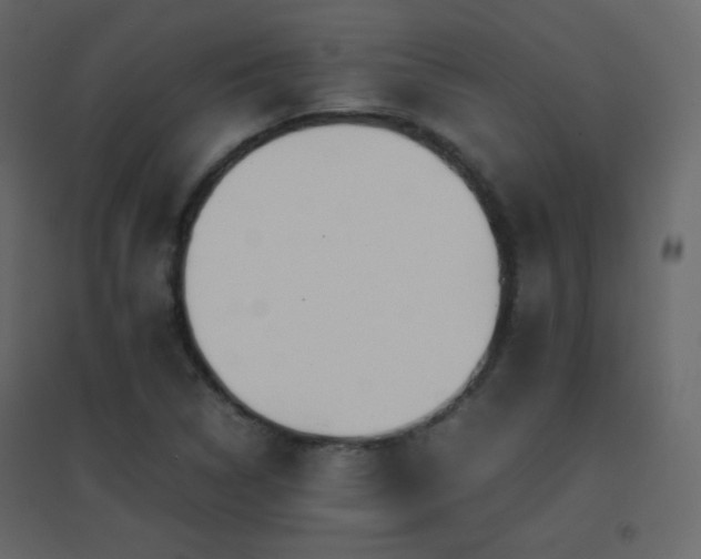 X0000096651314200802051145