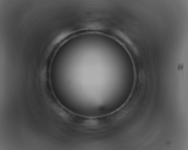 X0000096651315200802051145