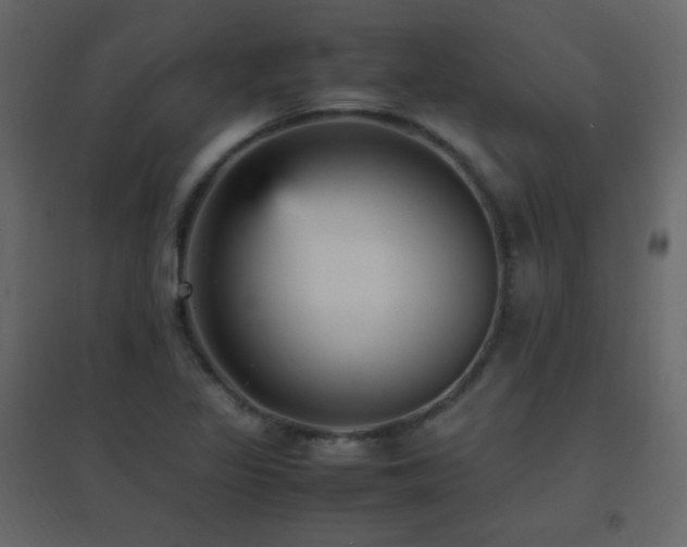 X0000096651317200802051145