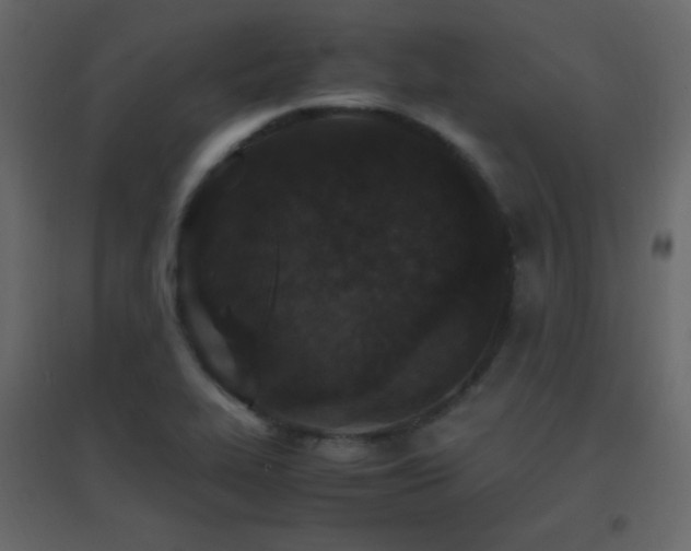 X0000096651319200802051145