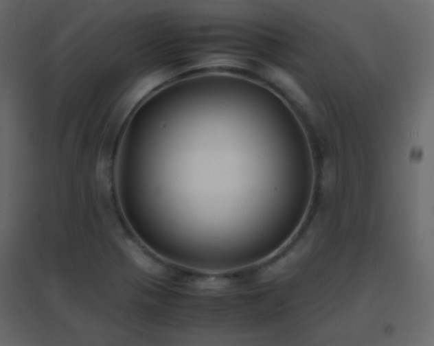 X0000096651321200802051145
