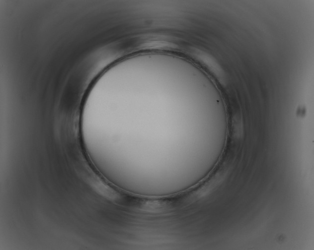X0000096651322200802051145
