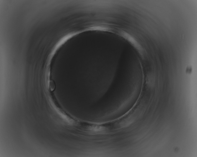 X0000096651323200802051145