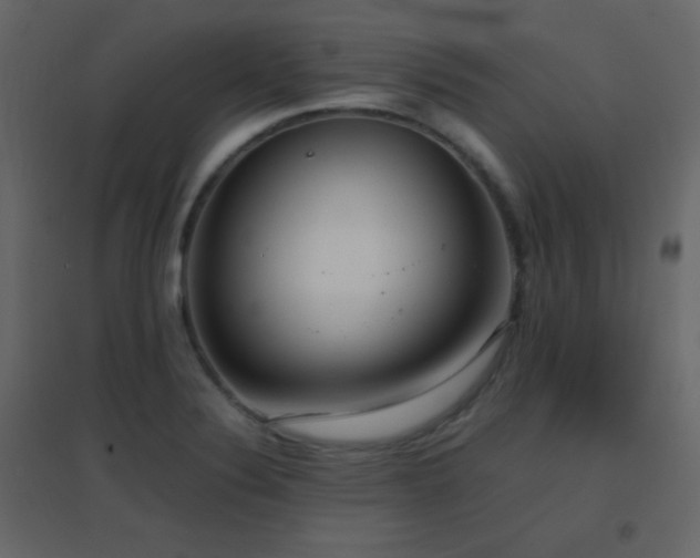 X0000096651324200802051145