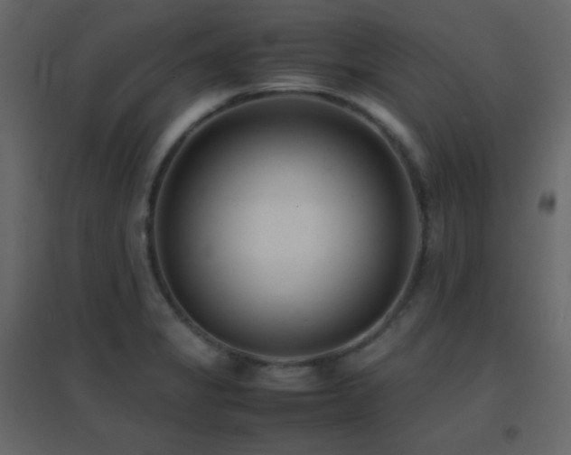 X0000096651325200802051145