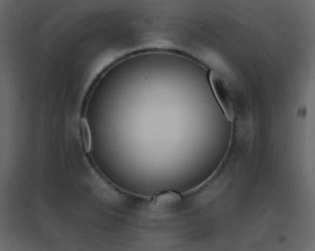 X0000096651326200802051145
