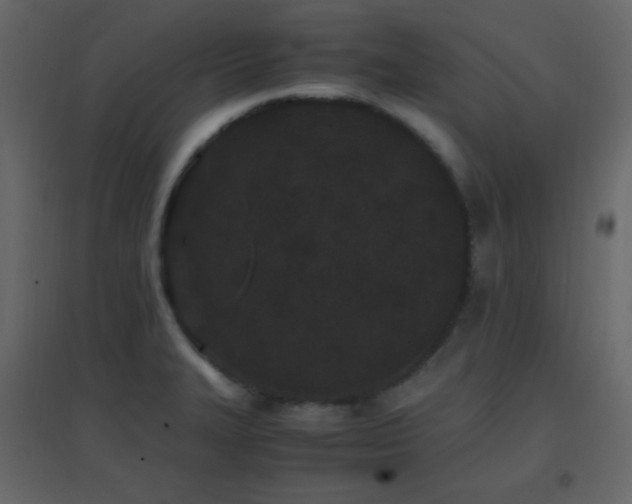 X0000096651327200802051145