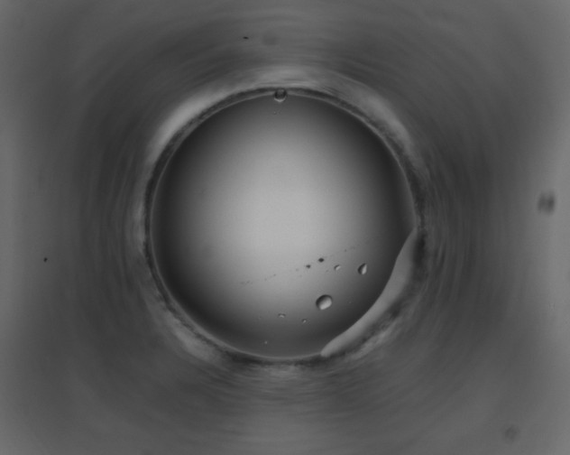 X0000096651328200802051145