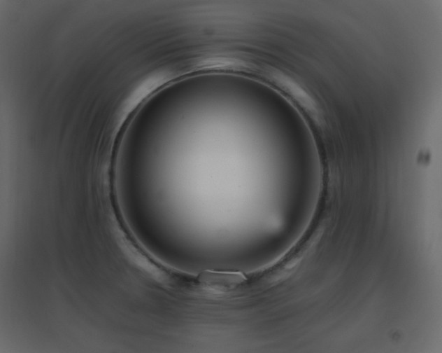 X0000096651330200802051145