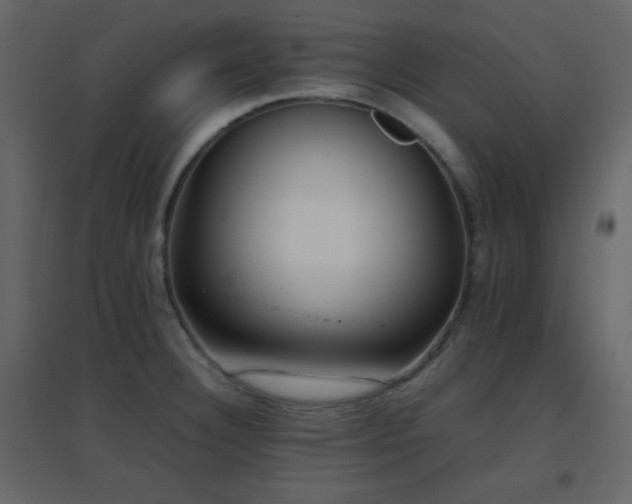 X0000096651332200802051146