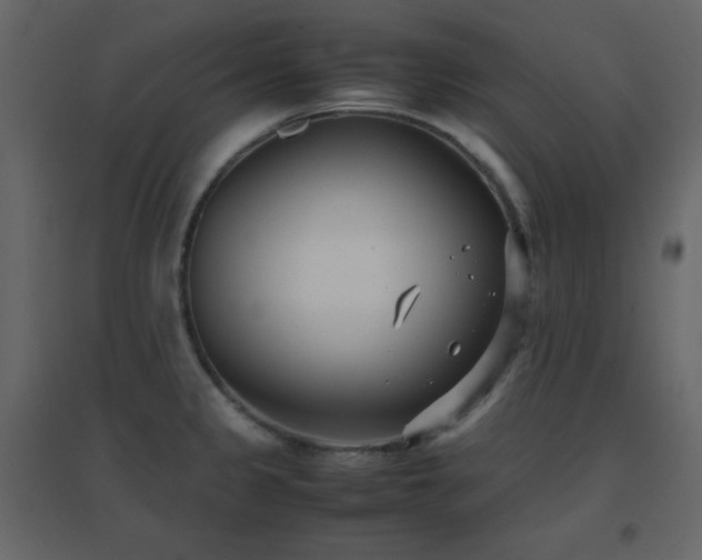 X0000096651333200802051146