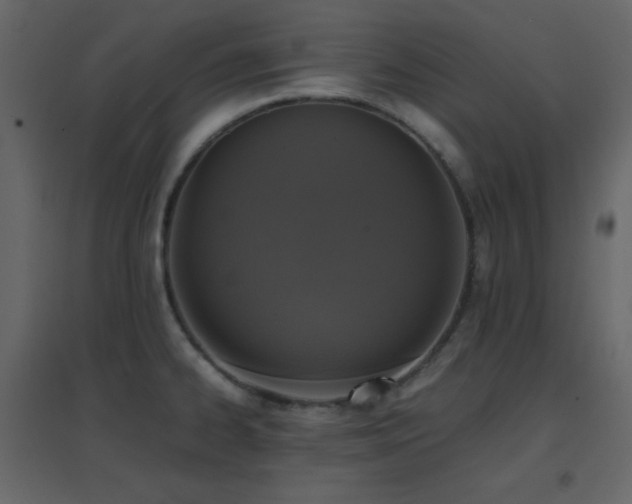 X0000096651334200802051146