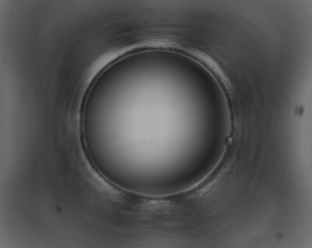 X0000096651335200802051146