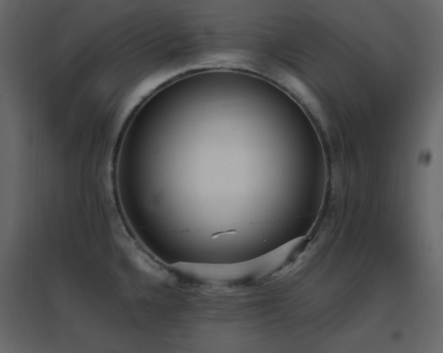 X0000096651336200802051146