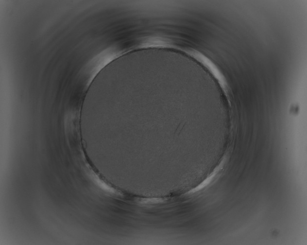 X0000096651337200802051146