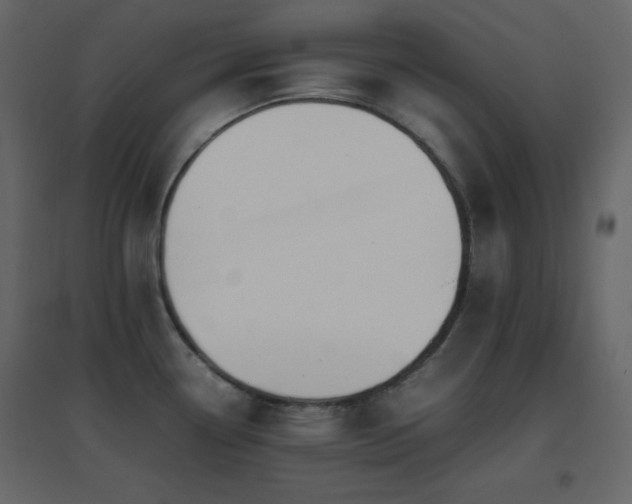 X0000096651338200802051146