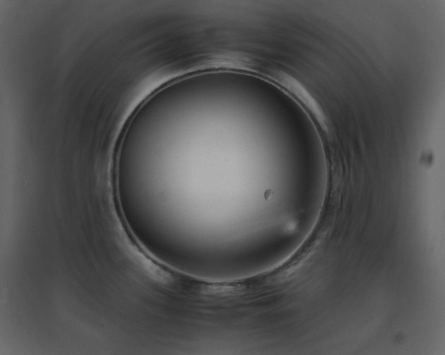 X0000096651339200802051146