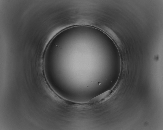 X0000096651340200802051146