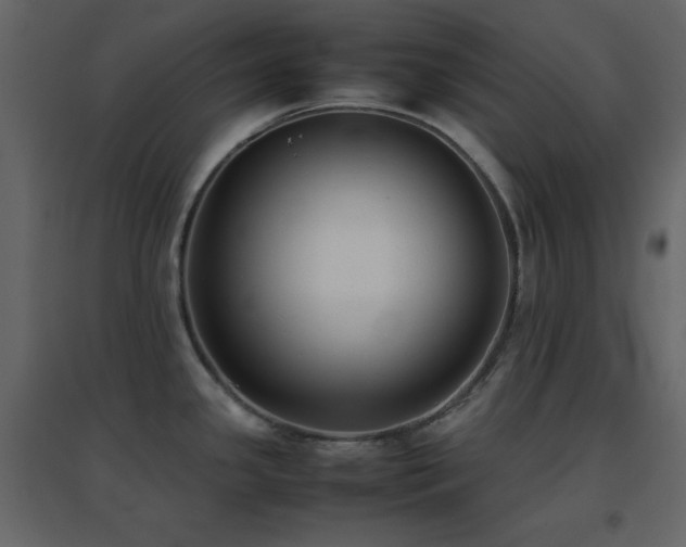 X0000096651341200802051146