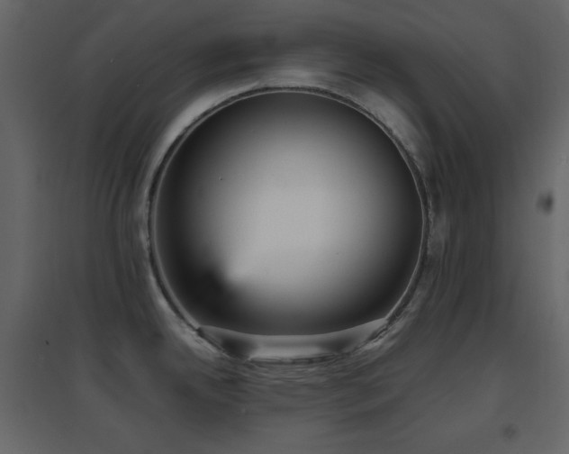 X0000096651342200802051146
