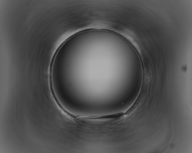 X0000096651343200802051146