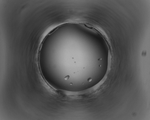 X0000096651344200802051146