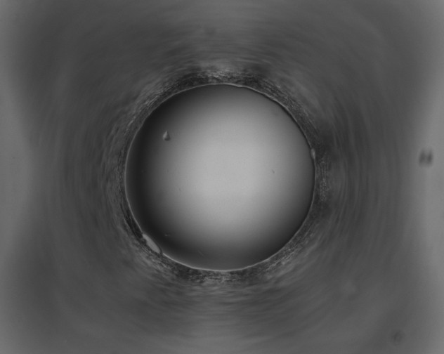 X0000096651345200802051145