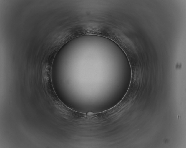 X0000096651346200802051145