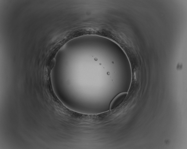 X0000096651347200802051145