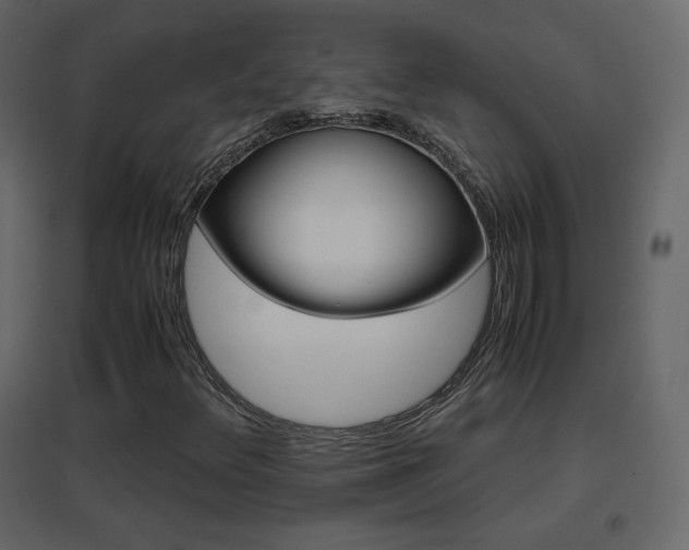 X0000096651348200802051145