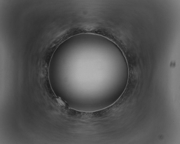 X0000096651349200802051145