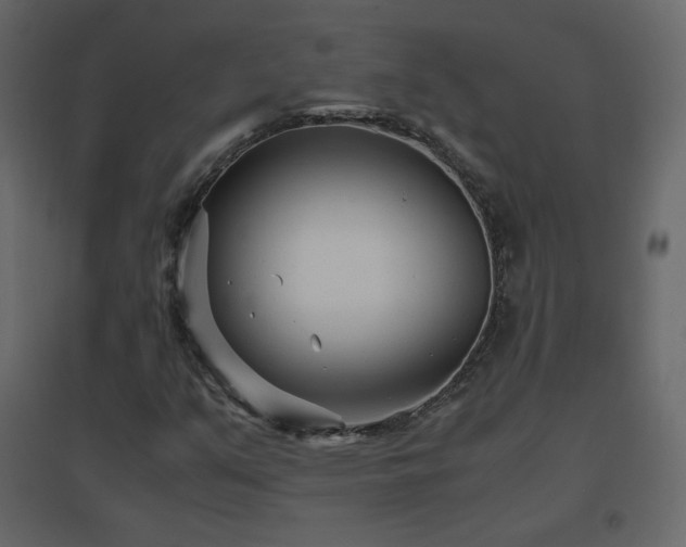 X0000096651351200802051145