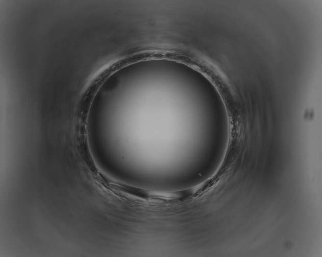 X0000096651352200802051145