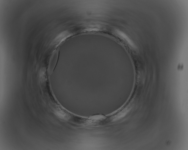 X0000096651353200802051145