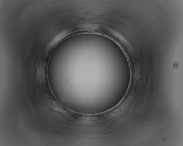 X0000096651354200802051145